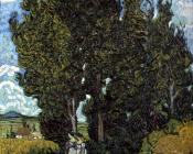 文森特 威廉 梵高 : 柏树